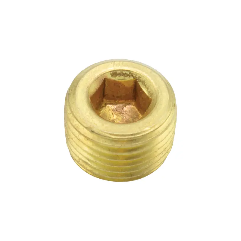 1/2" Socket Head Pipe Plug With Male Pipe Thread – Dci 0113 1