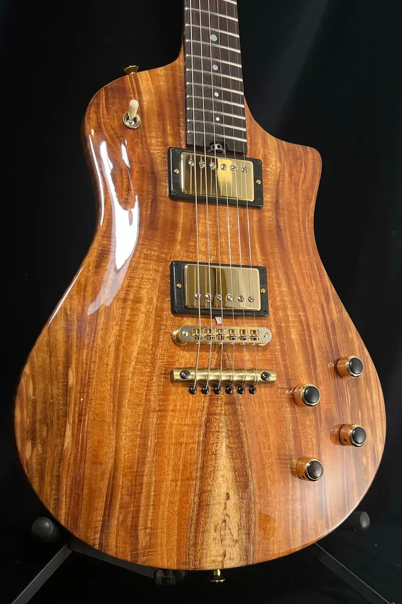 2023 Asher Electro Sonic Ii – Carved Flame Koa Top, Roasted Flame Maple Neck & Body, Koi Inlay (Sold) 1