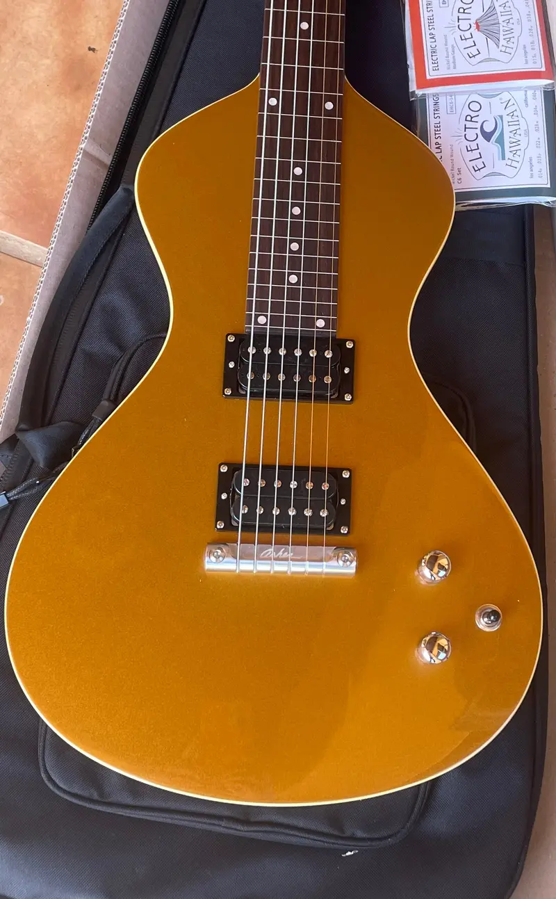 2023 Electro Hawaiian® Junior Lap Steel – Gold Top Factory Second With Extra Strings (Sold) 1