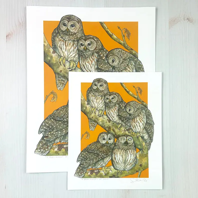 A Parliament Of Owls Fine Art Print – Whimsical Avian Group Portrait By Sarah Draws Things 1