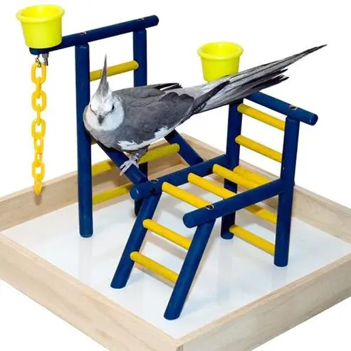Acrobird Stand-Up Toddler Playland – 14-Inch Bird Activity Center 1