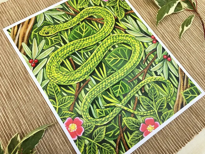 Adrienne Langer Wildlife Art Print Of A Smooth Greensnake 1