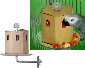 Buffet-Style Cage-Mount Foraging Box 1
