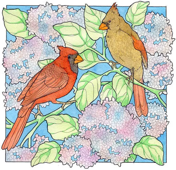Cardinal & Hydrangea Art Print By Sarah Draws Things 1