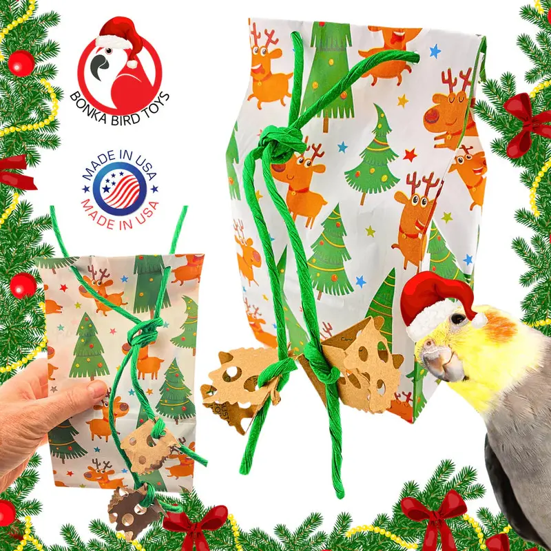 Christmas Rudolph Treat Bag – Fun Holiday Forager 1