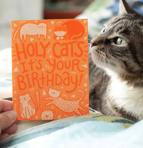 Exit343Design 'Holy Cats!' Humorous Birthday Card 1