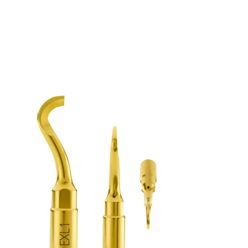 Exl1 Third Molar Extraction Lever – Upper Jaw Optimized 1