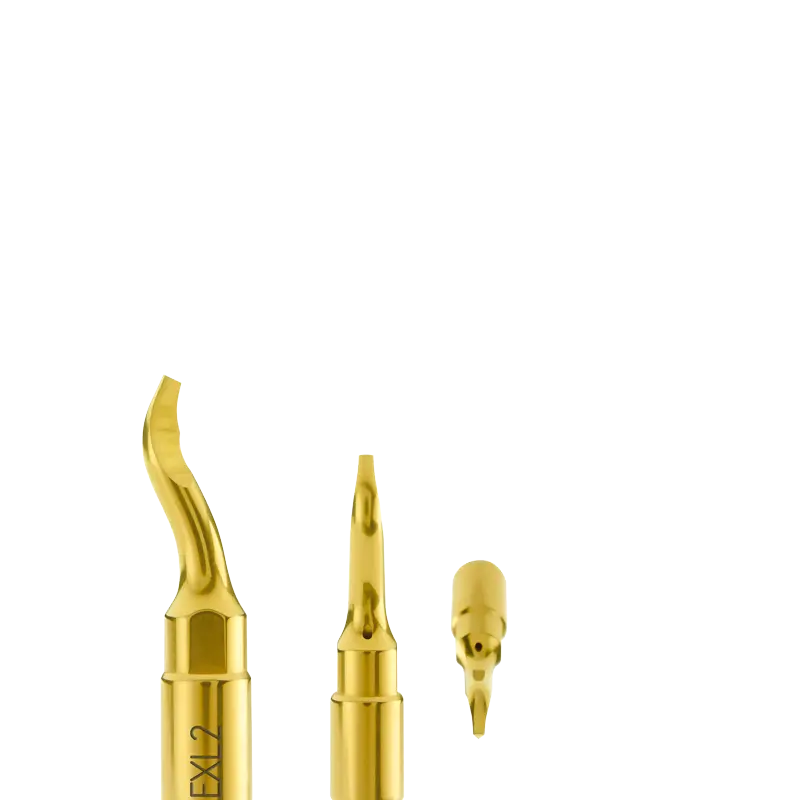 Exl2 Third Molar Extraction Lever – Lower Jaw Optimized 1