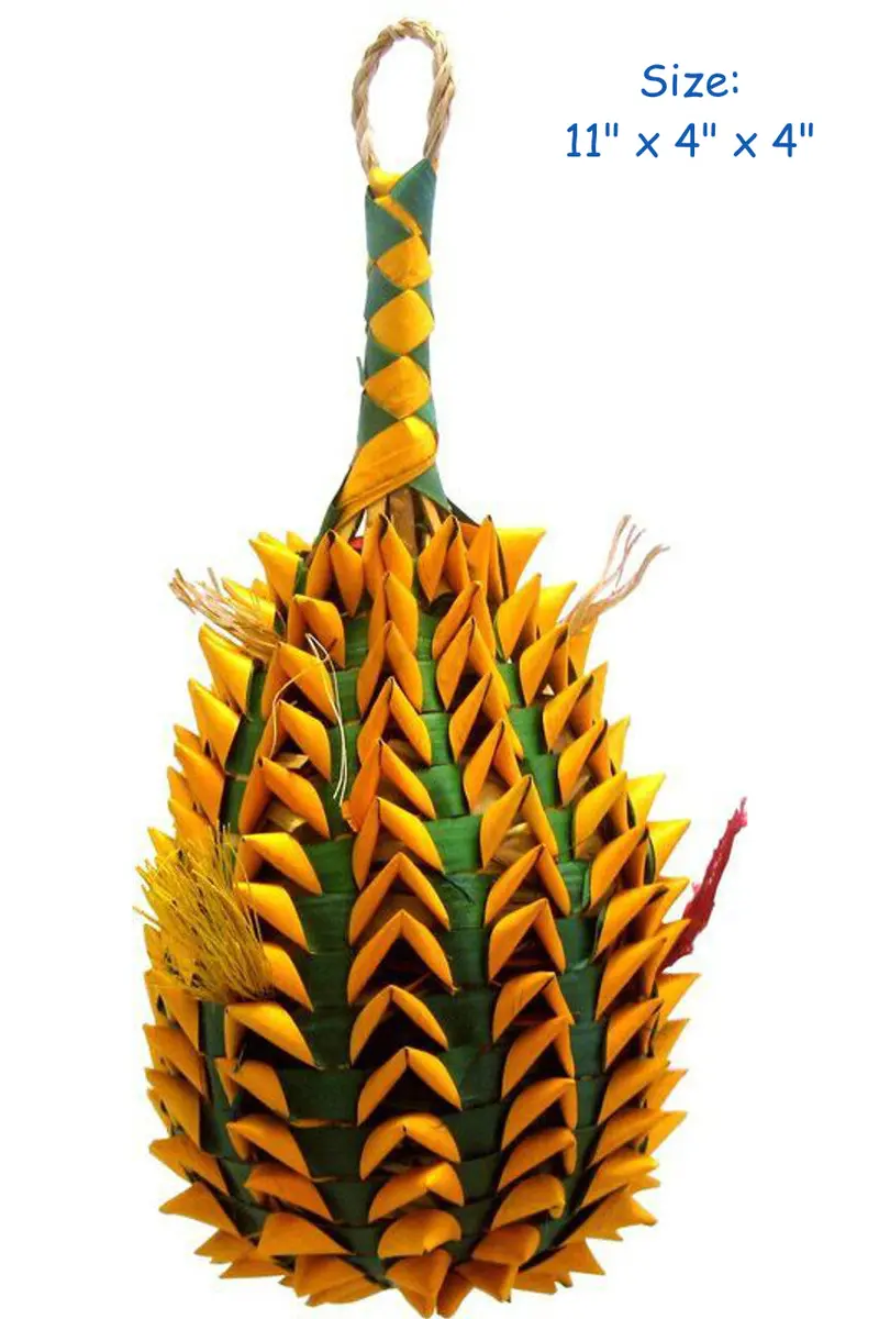 Extra-Large Pineapple Foraging Toy 1