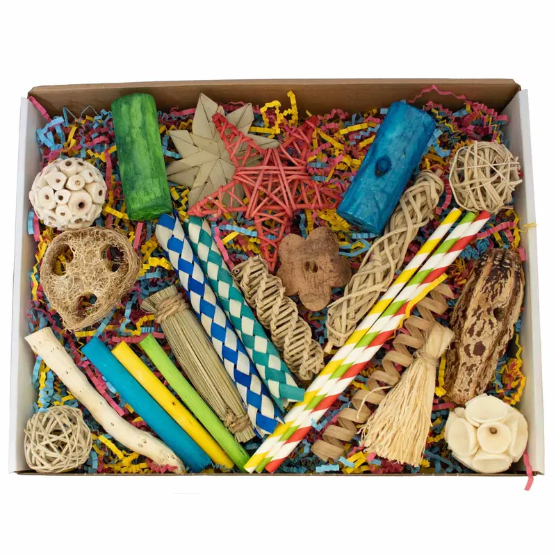 Foraging Fun Box – Rotating Enrichment Activity Kit 1