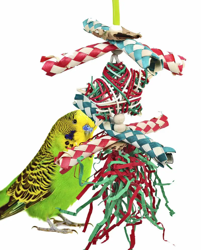 Foraging Star Toy For Christmas Enrichment 1