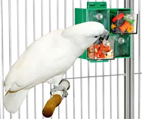 Four-Drawer Foraging Toy For Birds 1