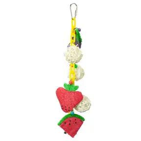 Fruit And Vegetable Charm Necklace For Birds 1