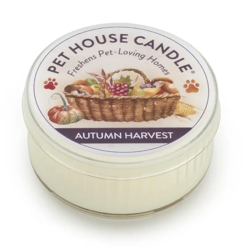 Harvest Spice Mini Pet House Candle 1