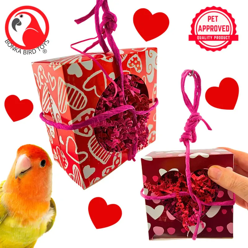 Heart-Shaped Foraging Box Toy 1