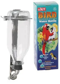Heavy-Duty 32 Oz Glass Water Bottle 1