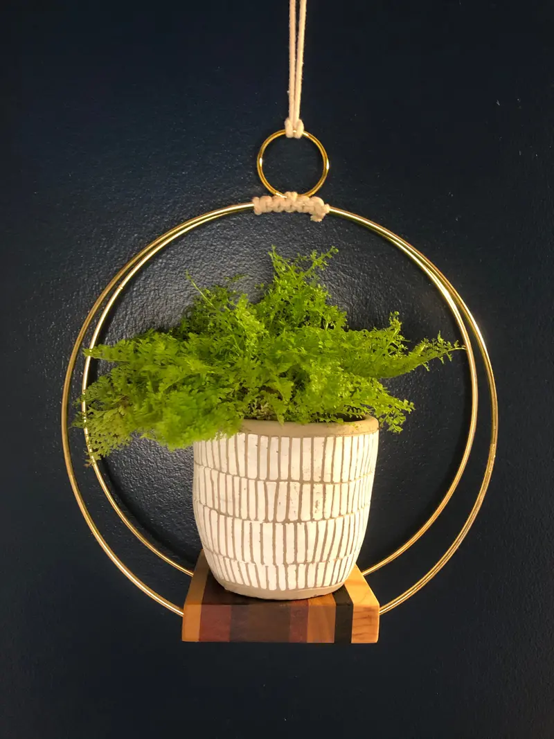 Honorable Oak Exotic Wood Plant Stand — Compact & Stylish 1