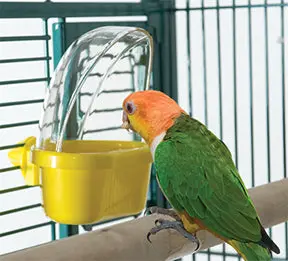Hooded Mess-Free Large Feeder 1