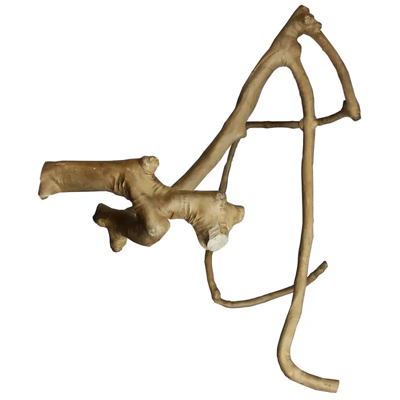 Java Wood Multi-Arm Perch For Natural Climbing 1
