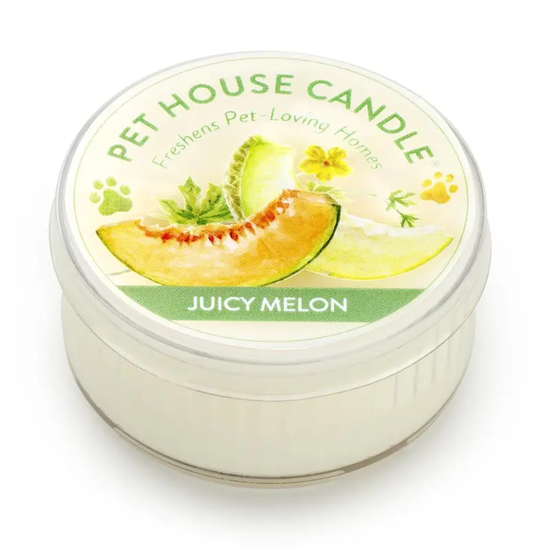 Juicy Watermelon Mini Pet House Candle 1