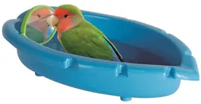 Jungle-Themed Bathtub-Style Bird Bath 1