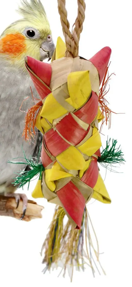 Medium Carnival-Themed Party Accessory 1