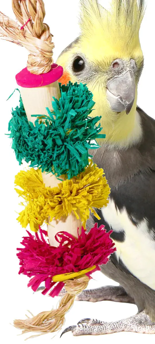 Medium Fuzzy Fun Sensory Toy 1