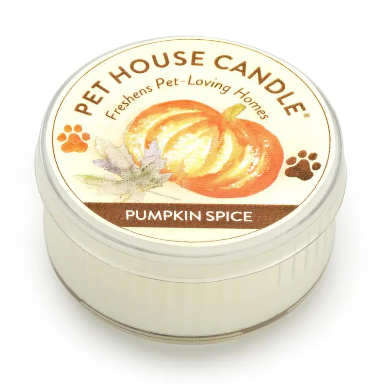 Pumpkin Spice Mini Autumn Pet House Candle 1
