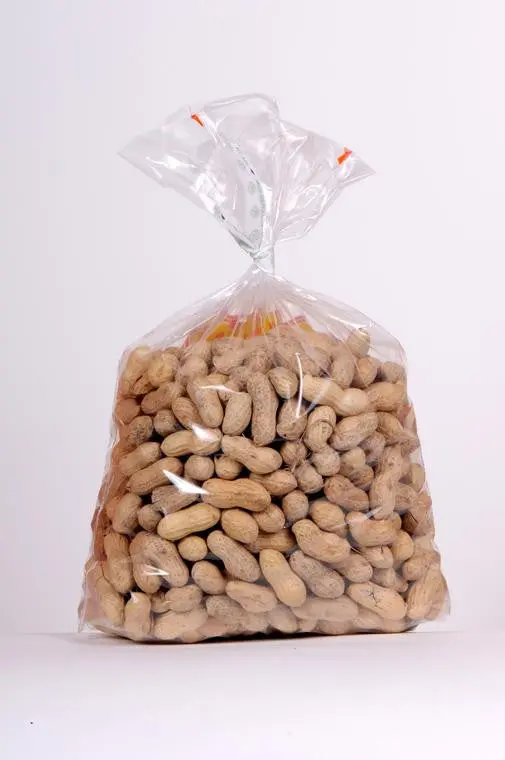 Raw Peanuts In Shell – Natural Foraging Snack 1