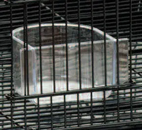 Replacement Feeder Cup For Avian Cages 1