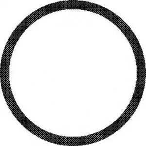 Replacement O-Ring For Vector Stain Master Handpiece 1