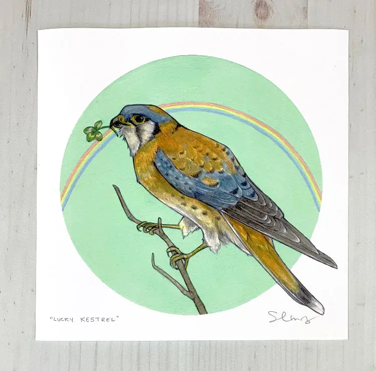 Sarah Draws Things Lucky Kestrel Wildlife Art Print (8X8 Inches) 1