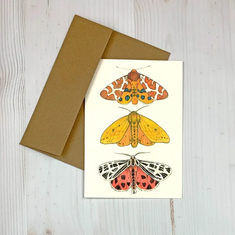 Sarah Draws Things Tiger Moth Greeting Card Set 1