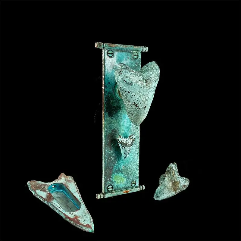 Shark Collection By Sasha Bikoff – Model 4937 1