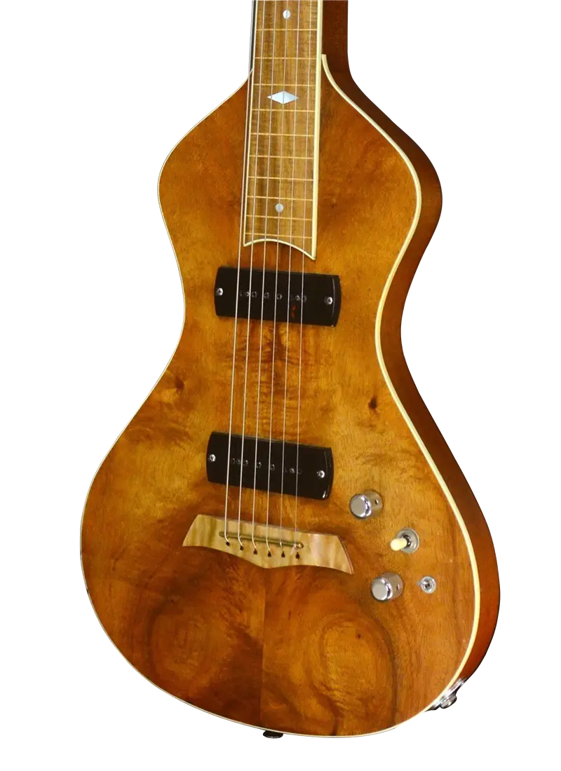 Sold: 1999 Asher Ben Harper Limited Edition Lap Steel — Greg Leisz Studio & Tour Guitar (#014/70) 1