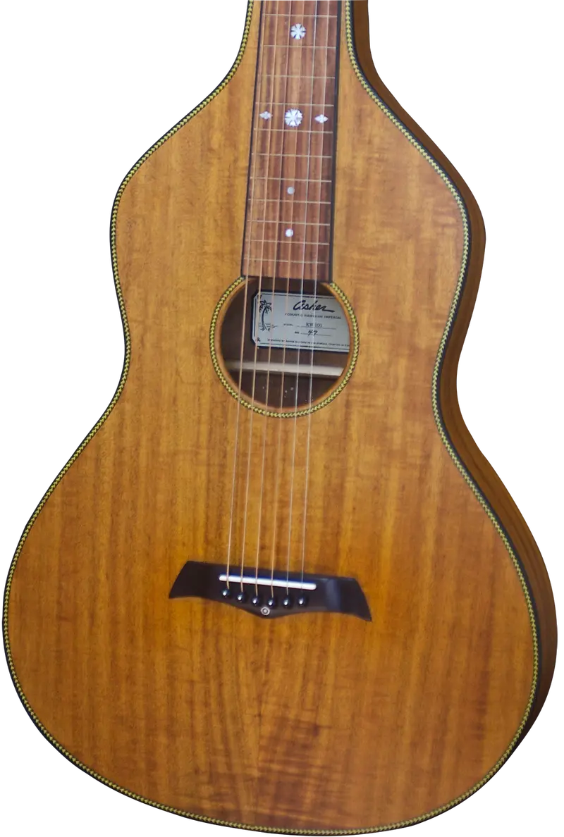 Sold Asher Acoustic Hawaiian Imperial Lap Steel With Custom Snowflake Inlay #047 1