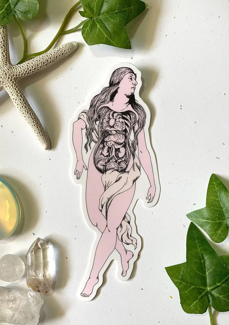 Sophie Margot Art: Anatomical Venus Illustration Sticker 1