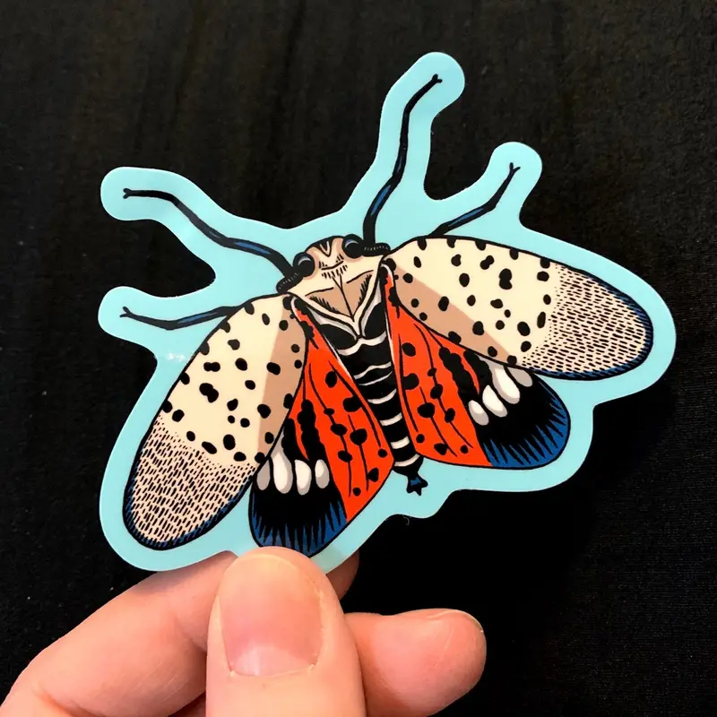 Sophie Margot Lanternfly Art Sticker 1