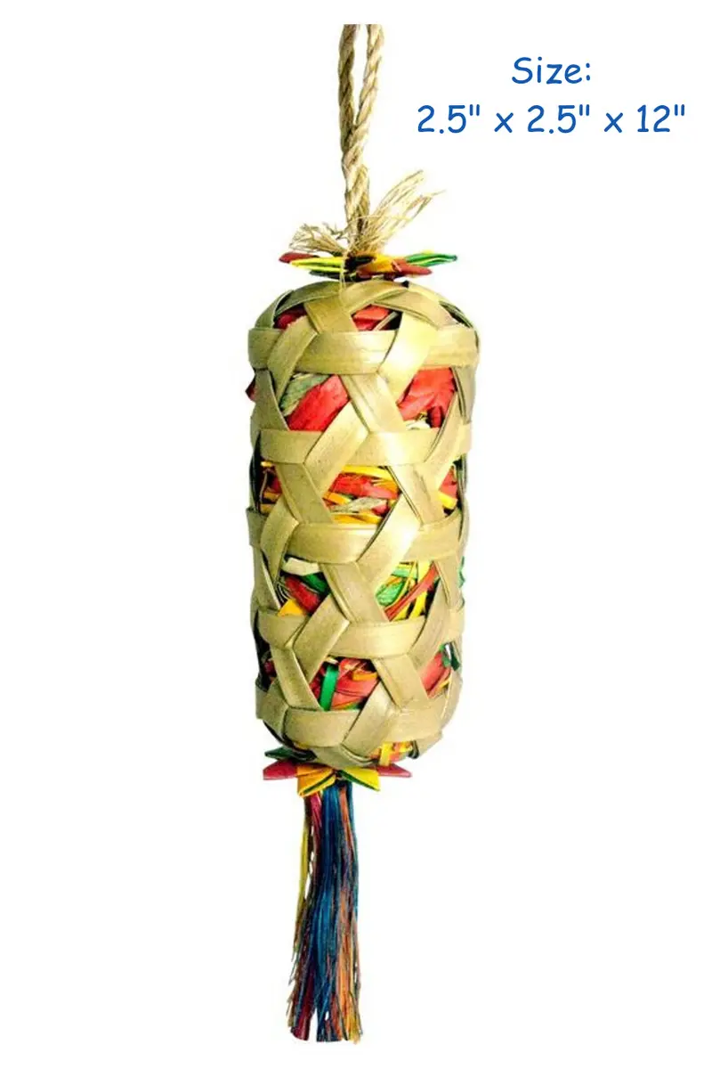 Standard Foraging Cylinder 1