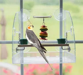 Window-Mounted Play Center For Small Birds 1