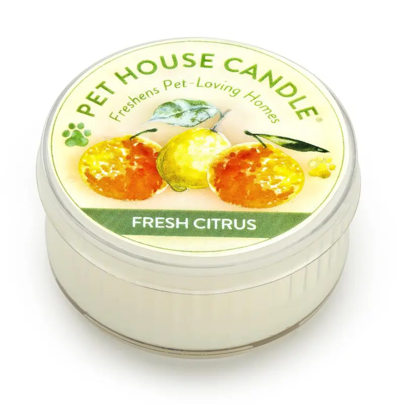 Zesty Citrus Mini Pet House Candle 1